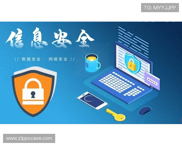 aoa体育登录网址官方入口全面解析确保用户安全登录及账号信息保护措施介绍